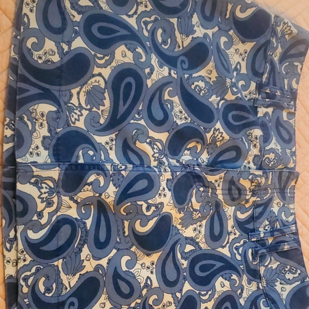 Ladies GAP Skirt - Blue Paisley